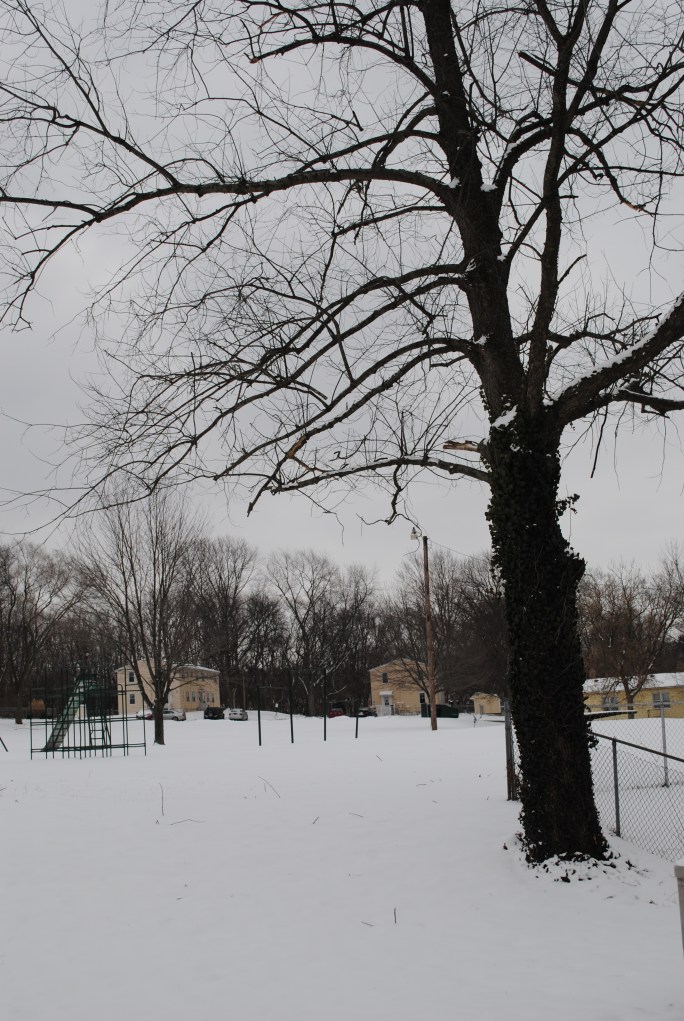 snow covered playground