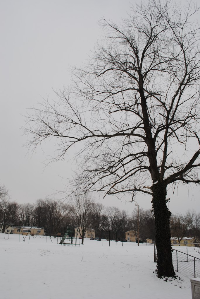 snow covered play ground