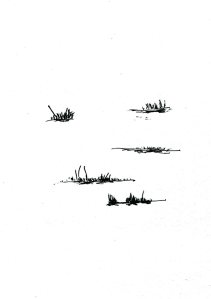 patches of grass001