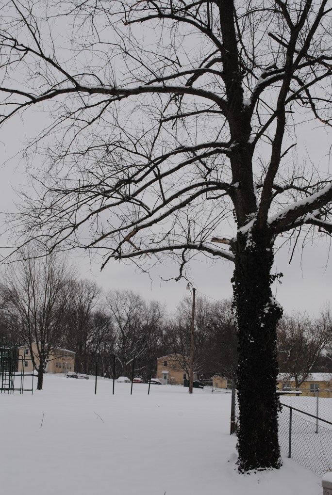 Fresh snow covered playground